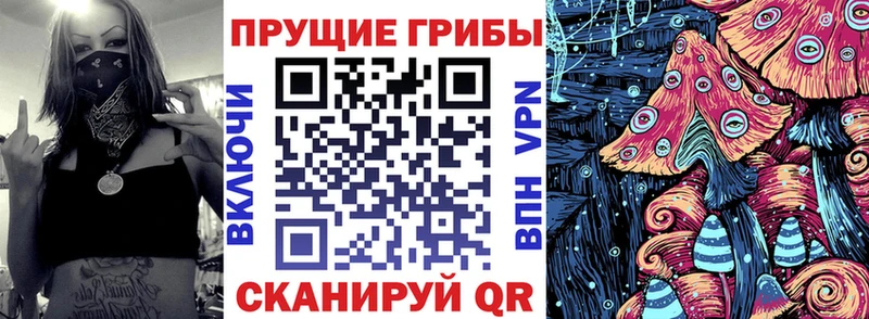 Псилоцибиновые грибы прущие грибы  Рыбинск 